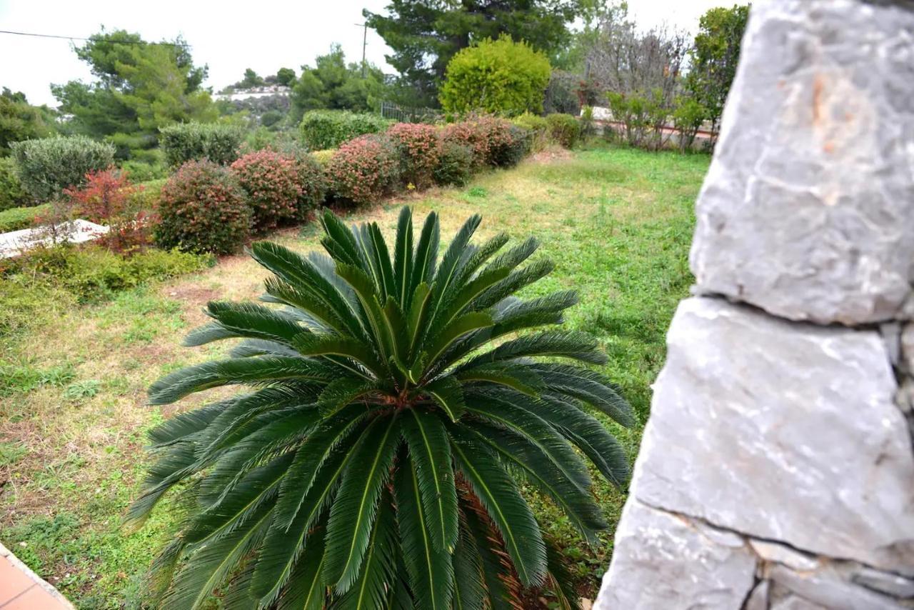Vila Amalia ثيولوغوس المظهر الخارجي الصورة